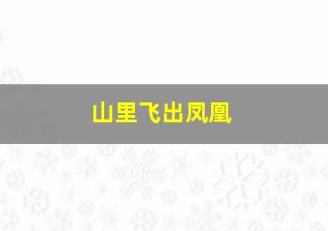 山里飞出凤凰