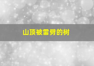 山顶被雷劈的树