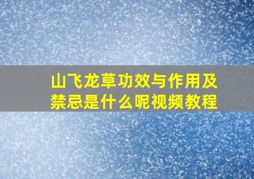 山飞龙草功效与作用及禁忌是什么呢视频教程