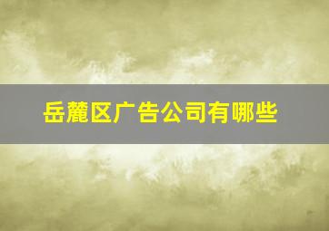 岳麓区广告公司有哪些