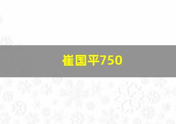 崔国平750