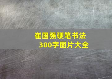 崔国强硬笔书法300字图片大全