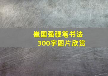 崔国强硬笔书法300字图片欣赏