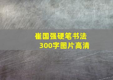 崔国强硬笔书法300字图片高清