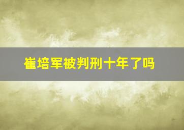 崔培军被判刑十年了吗