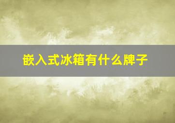 嵌入式冰箱有什么牌子