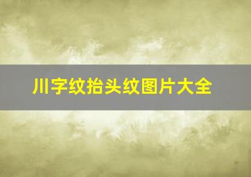 川字纹抬头纹图片大全