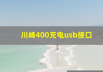 川崎400充电usb接口