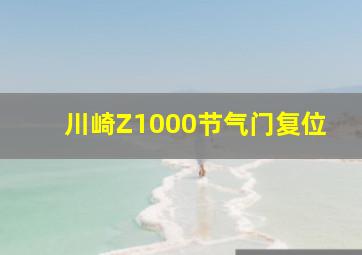 川崎Z1000节气门复位