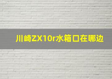 川崎ZX10r水箱口在哪边