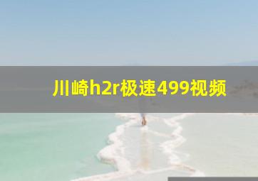 川崎h2r极速499视频