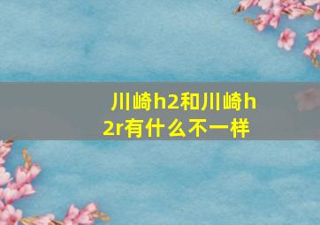 川崎h2和川崎h2r有什么不一样