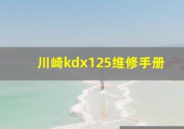 川崎kdx125维修手册