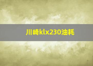 川崎klx230油耗