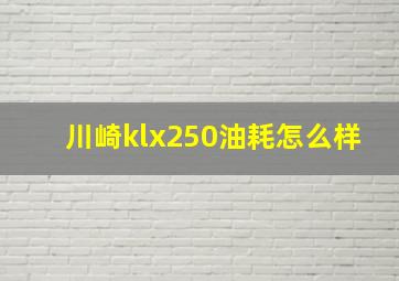 川崎klx250油耗怎么样