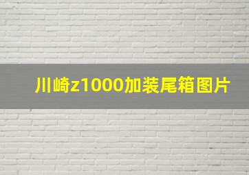 川崎z1000加装尾箱图片