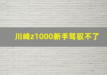 川崎z1000新手驾驭不了