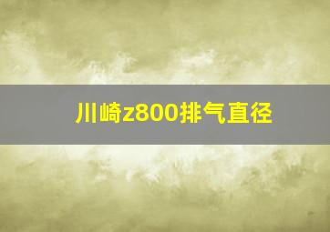 川崎z800排气直径