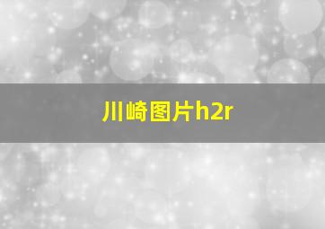 川崎图片h2r