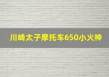 川崎太子摩托车650小火神