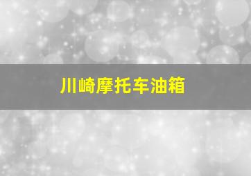 川崎摩托车油箱