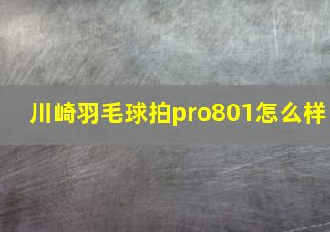 川崎羽毛球拍pro801怎么样