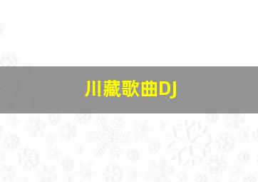 川藏歌曲DJ