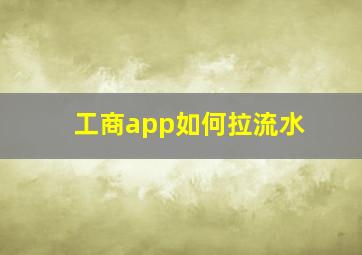 工商app如何拉流水