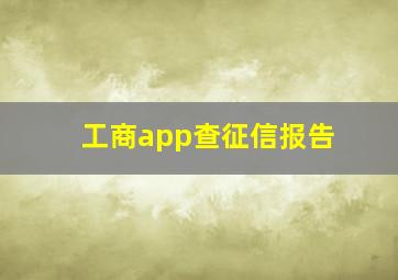 工商app查征信报告