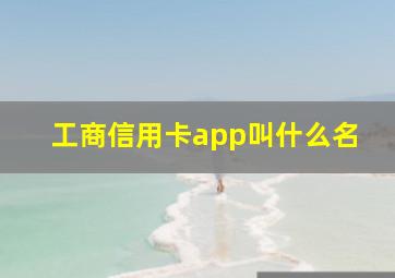 工商信用卡app叫什么名