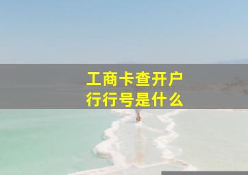 工商卡查开户行行号是什么