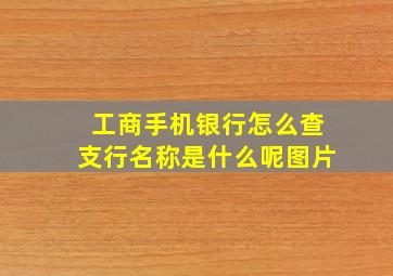 工商手机银行怎么查支行名称是什么呢图片