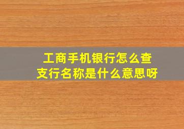 工商手机银行怎么查支行名称是什么意思呀