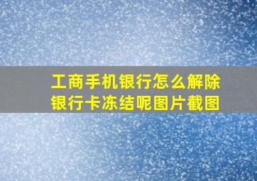 工商手机银行怎么解除银行卡冻结呢图片截图