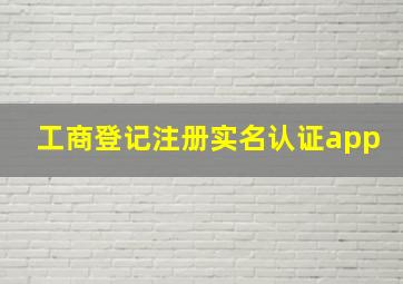 工商登记注册实名认证app