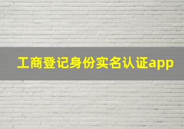 工商登记身份实名认证app