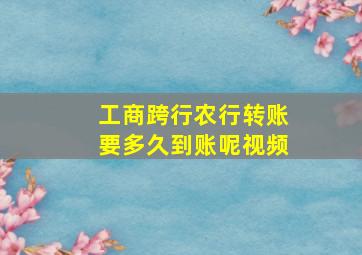 工商跨行农行转账要多久到账呢视频