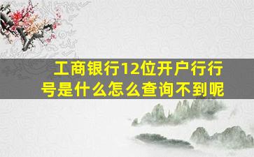 工商银行12位开户行行号是什么怎么查询不到呢