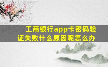 工商银行app卡密码验证失败什么原因呢怎么办