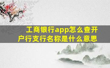 工商银行app怎么查开户行支行名称是什么意思