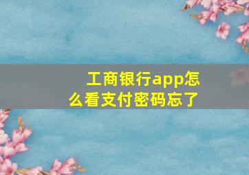 工商银行app怎么看支付密码忘了