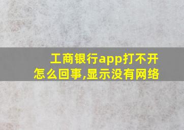 工商银行app打不开怎么回事,显示没有网络