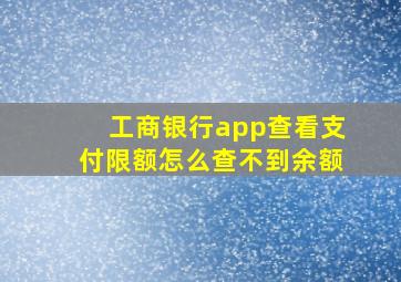 工商银行app查看支付限额怎么查不到余额