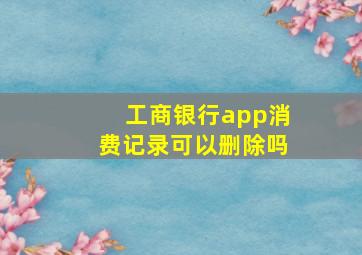 工商银行app消费记录可以删除吗