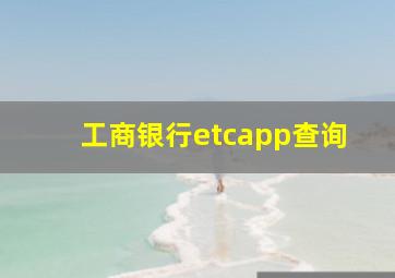 工商银行etcapp查询