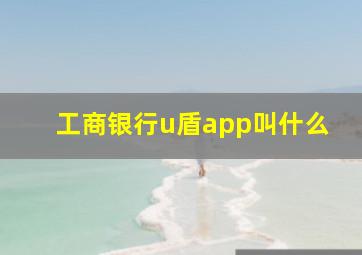 工商银行u盾app叫什么