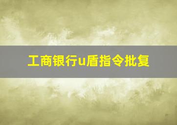 工商银行u盾指令批复