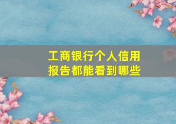 工商银行个人信用报告都能看到哪些