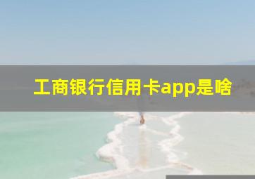 工商银行信用卡app是啥