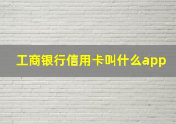 工商银行信用卡叫什么app